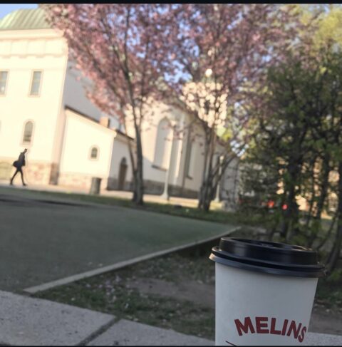 Melinskopp utanför caféet med parken och domkyrkan i bakgrunden